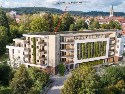 Wohnung zur Miete - Erstbezug 965 € 2 Zimmer 52,3 m² 1. Geschoss Renningen 71272