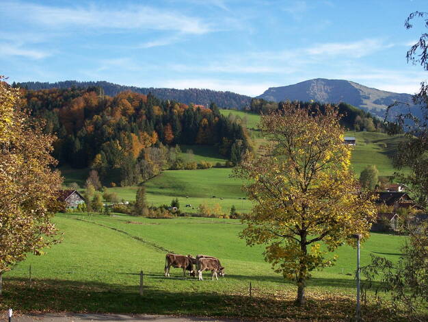 Einfamilienhaus zum Kauf provisionsfrei 895.000 € 8 Zimmer 230 m² 960 m² Grundstück Weißach Oberstaufen 87534