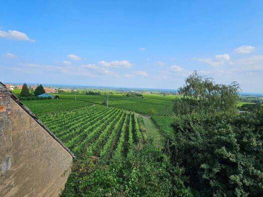 Bauernhaus zum Kauf 395.000 € 10 Zimmer 213 m² 689 m² Grundstück frei ab sofort Gleisweiler 76835