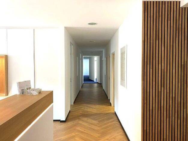 Bürofläche zur Miete provisionsfrei 23,50 € 300 m² Bürofläche teilbar ab 130 m² Ludwigsvorstadt-Isarvorstadt München 80336