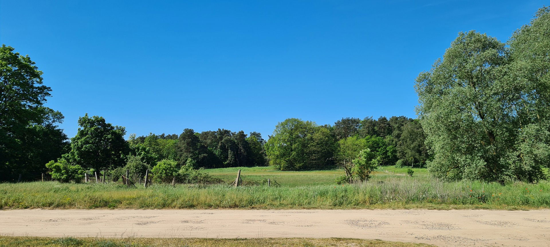 Grundstück zum Kauf provisionsfrei 800 m²<br/>Grundstück Lerchenweg 9 und 10 Herzberg (Mark) 16835