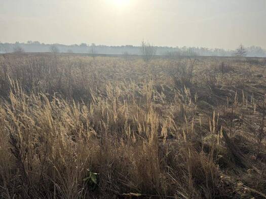 Gewerbegrundstück zum Kauf als Kapitalanlage geeignet 75.000 € 3.000 m² Grundstück Fehringstraße Triangel Sassenburg 38524