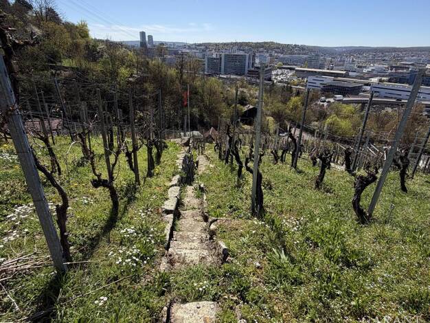 Land-/Forstwirtschaft zum Kauf 16.000 € 618 m² Grundstück Zuffenhausen Stuttgart 70435