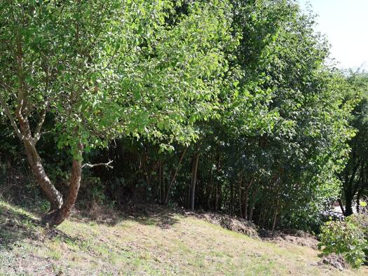 Grundstück zum Kauf 1.200 € 1 m² Grundstück Grimmweg Aue 08280