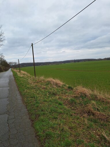 Landwirtschaftliche Fläche zum Kauf provisionsfrei 30.000 m² Grundstück Großenaspe Großenaspe 24623