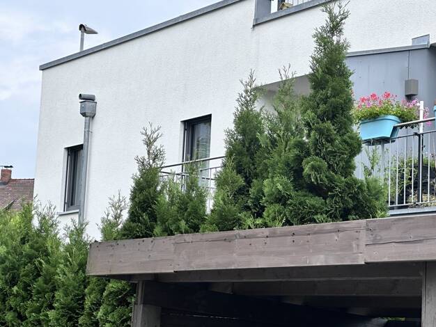 Wohnung zur Miete 1.050 € 2,5 Zimmer 68 m² frei ab 01.10.2025 Fischbach Friedrichshafen 88048