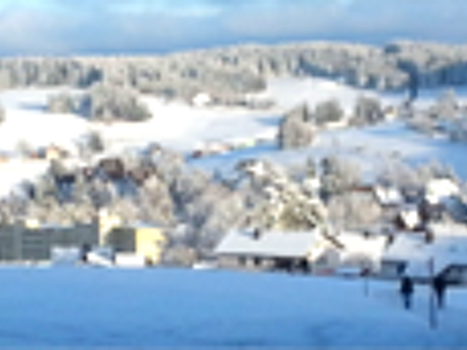 Wohnung zur Miete 400 € 1 Zimmer 37,4 m² 3. Geschoss Schönwald im Schwarzwald 78141