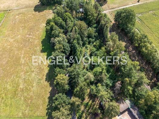 Grundstück zum Kauf 124.000 € 750 m² Grundstück Borg Walsrode 29699