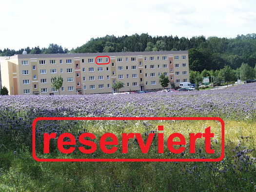 Wohnung zur Miete 360 € 3 Zimmer 60 m² 3. Geschoss frei ab sofort An der Gärtnerei 73 b Warmbad Wolkenstein 09429