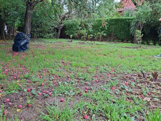 Bungalow zum Kauf provisionsfrei 633.570 € 4 Zimmer 108,4 m² 680 m² Grundstück Pappritz Ortschaft Schönfeld-Weißig 01328