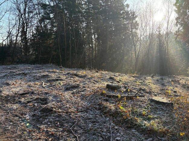 Grundstück zum Kauf 260.000 € 810 m² Grundstück Mühlbachweg 25 Burgthann 90559