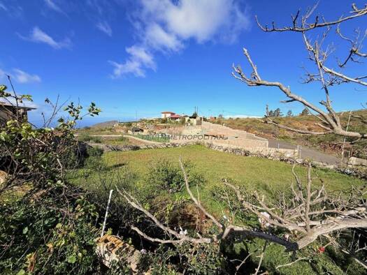 Acker-/Waldstück zum Kauf 400.000 € Camino el Charco Frio 11 Vilaflor 38614