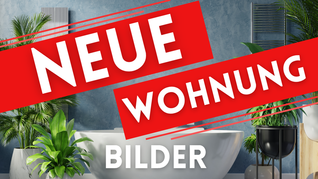 Wohnung zur Miete 590 € 2 Zimmer 49,3 m² 1. Geschoss frei ab 01.05.2026 Kaßberg Chemnitz 09111