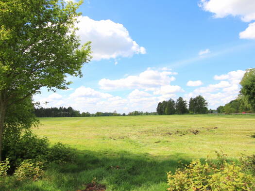 Land-/Forstwirtschaft zum Kauf 122.843 € 49.137 m² Grundstück Klein Scharrel Edewecht 26188