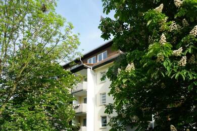 Wohnung zum Kauf 69.000 € 3 Zimmer 62,8 m² Dachgeschoss, 4. Geschoss Reichenbrand 862 Chemnitz 09117