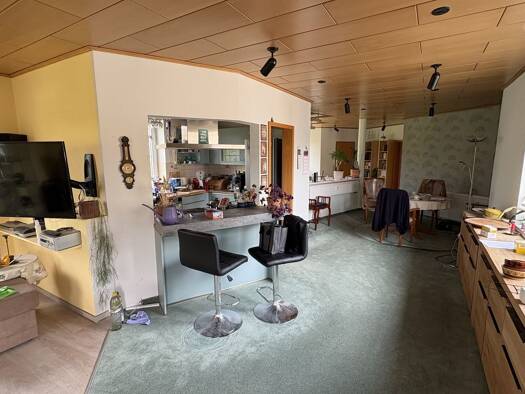 Mehrfamilienhaus zum Kauf 460.000 € 13 Zimmer 435 m² 490 m² Grundstück Eisenberg Eisenberg 07607
