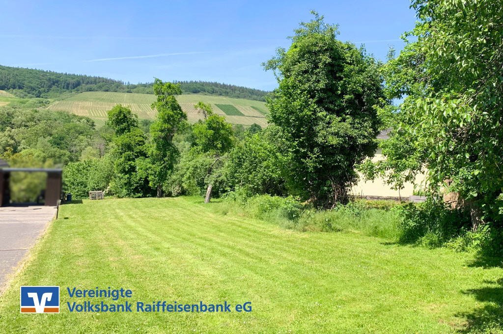 Grundstück zum Kauf 120.000 € 1.167 m²<br/>Grundstück Noviand Maring-Noviand-Noviand 54484