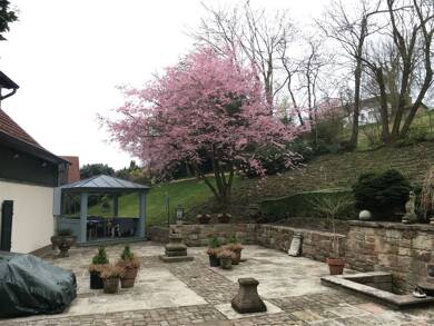 Villa zum Kauf 11 Zimmer 390 m² 2.105 m² Grundstück Neuenberg Fulda 36041