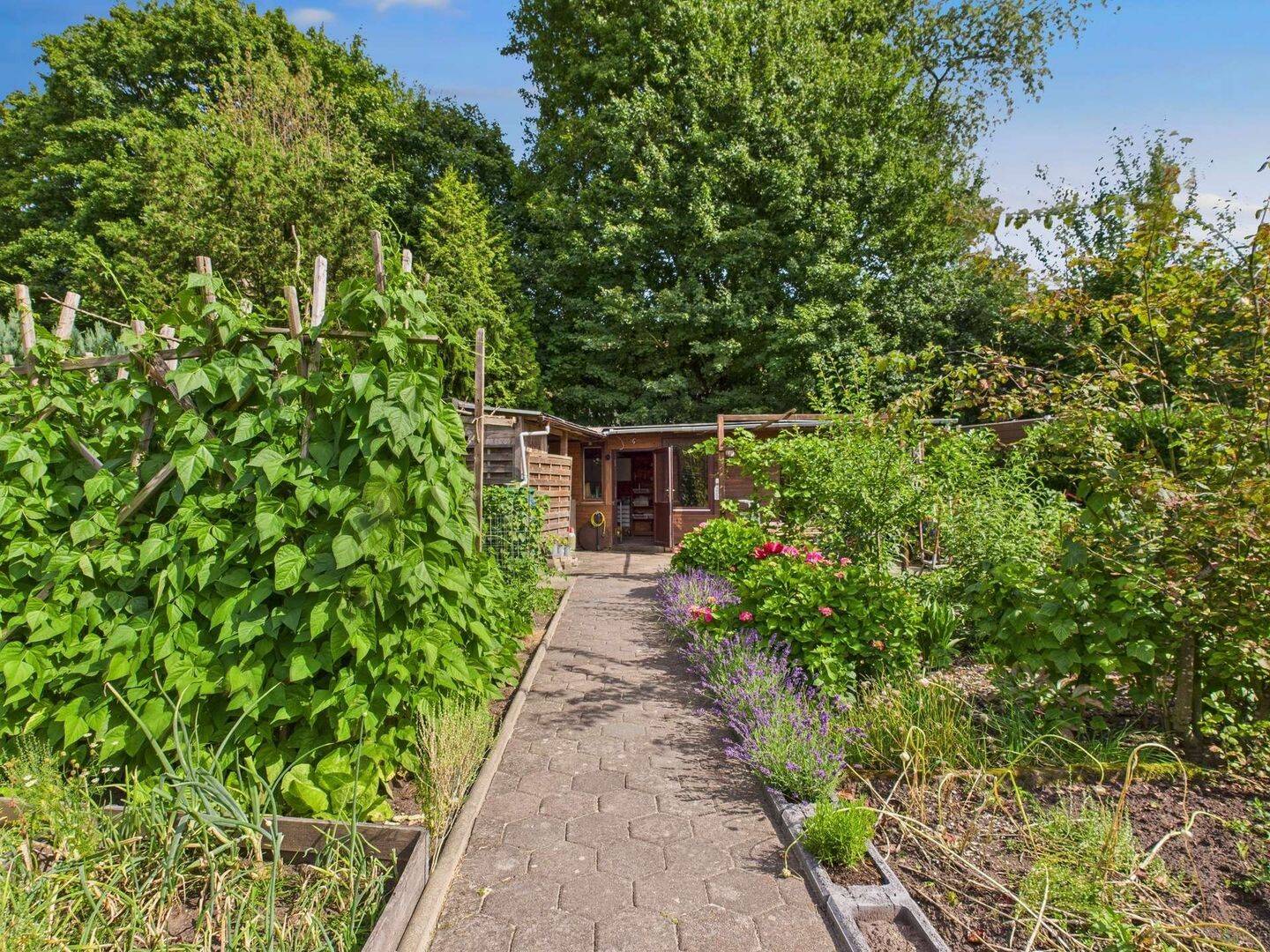 Property thumbnail 25