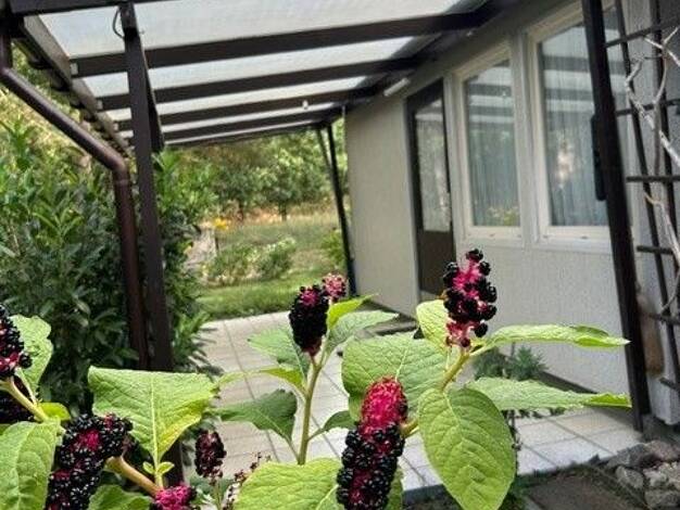 Bungalow zum Kauf provisionsfrei 36.990 € 2 Zimmer 34 m² 292 m² Grundstück frei ab 01.11.2026 Saalow Am Mellensee 15838