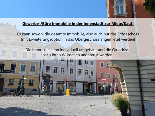 Bürofläche zur Miete provisionsfrei 6 Zimmer 290 m² Bürofläche Vilshofen Vilshofen an der Donau 94474