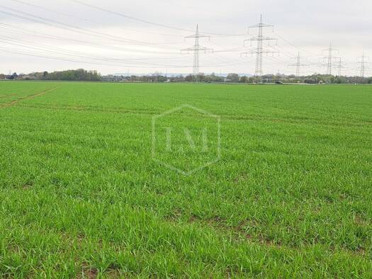 Landwirtschaftliche Fläche zum Kauf 2.250.000 € 146.046 m² Grundstück Pulheim 50259