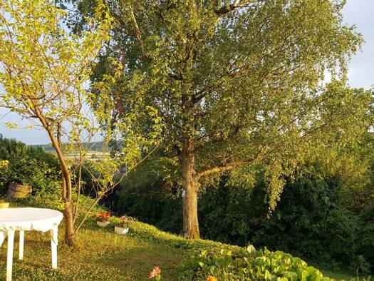 Studio zur Miete 500 € 1 Zimmer 22 m² Geschoss -1/3 frei ab sofort Trollingerstraße 1 Winzerhausen Großbottwar 71723