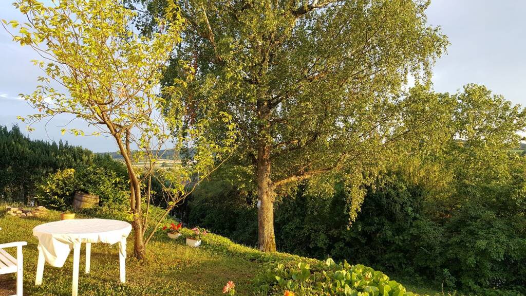 Studio zur Miete 500 € 1 Zimmer 22 m² Geschoss -1/3 frei ab sofort Trollingerstraße 1 Winzerhausen Großbottwar 71723