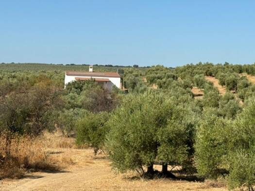 Reiterhof zum Kauf provisionsfrei 133.000 € 140 m² 7.200 m² Grundstück Manzanilla 21820