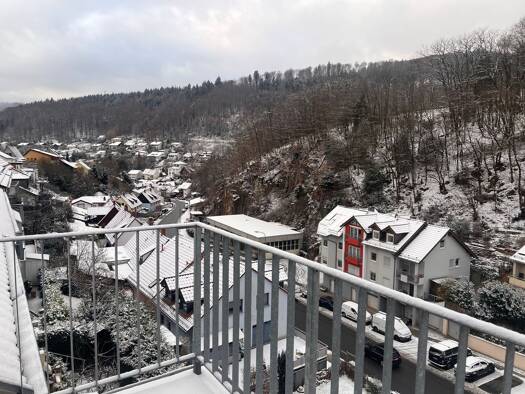 Terrassenwohnung zur Miete 650 € 1 Zimmer 20 m² Geschoss 1/1 frei ab 20.02.2026 Ziegelhausen Heidelberg 69118