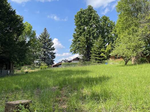 Grundstück zum Kauf provisionsfrei 250.000 € 1.385 m² Grundstück Hänichen Bannewitz 01728
