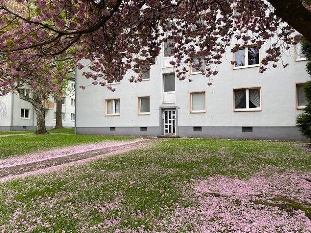 Wohnung zur Miete 487 € 2,5 Zimmer 47,7 m² 1. Geschoss frei ab 08.08.2026 Gelsenkirchener Str. 70 Schonnebeck Essen 45141