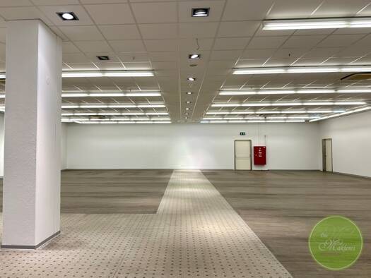 Verkaufsfläche zur Miete 10 € 3 Zimmer 466,3 m² Verkaufsfläche Seeleinsbühl Nürnberg 90431