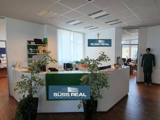 Büro zur Miete 5 Zimmer 240 m² Bürofläche Steyr Steyr 4400