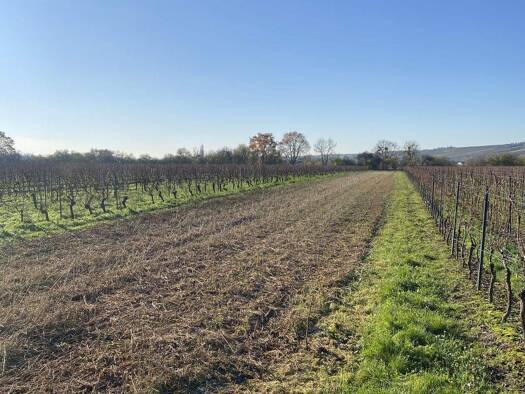 Land-/Forstwirtschaft zum Kauf 5.000 € 2.029 m² Grundstück Oppenheim 55276