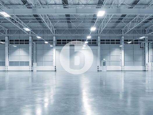 Lagerhalle zur Miete 15.555 m² Lagerfläche Billbrook Hamburg 22113