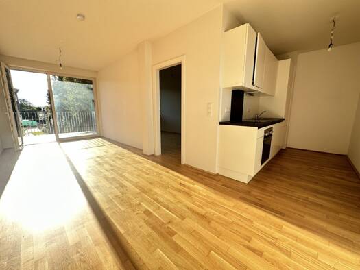 Wohnung zur Miete 849 € 2 Zimmer 51 m² 2. Geschoss Liebenauer Hauptstraße Liebenau Graz 8041