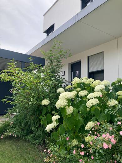 Haus zur Miete 1.960 € 5,5 Zimmer 145 m² Langenzenn Langenzenn 90579
