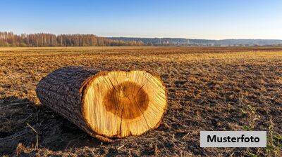 Land-/Forstwirtschaft zum Kauf
