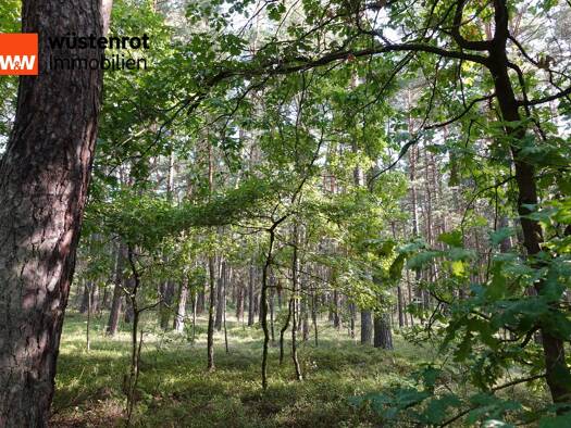 Land-/Forstwirtschaft zum Kauf 74.500 € 48.370 m² Grundstück Zschornau Kamenz / Zschornau 01917