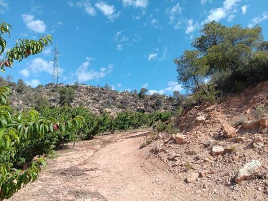 Acker-/Waldstück zum Kauf 145.000 € PARTIDA VALL DE AMET SN Riba-roja d'Ebre 43790