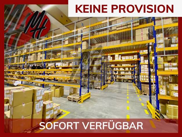 Halle/Industriefläche zur Miete 5.000 m² Lagerfläche Hechtsheim Mainz 55129