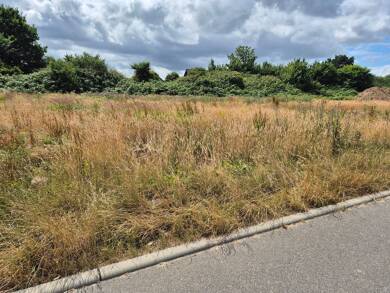 Grundstück zum Kauf 220.000 € 555 m² Grundstück Ellernring Bad Doberan Bad Doberan 18209