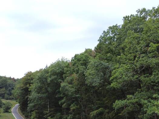 Land-/Forstwirtschaft zum Kauf 24.000 € 6.761 m² Grundstück Heideck Heideck 91180