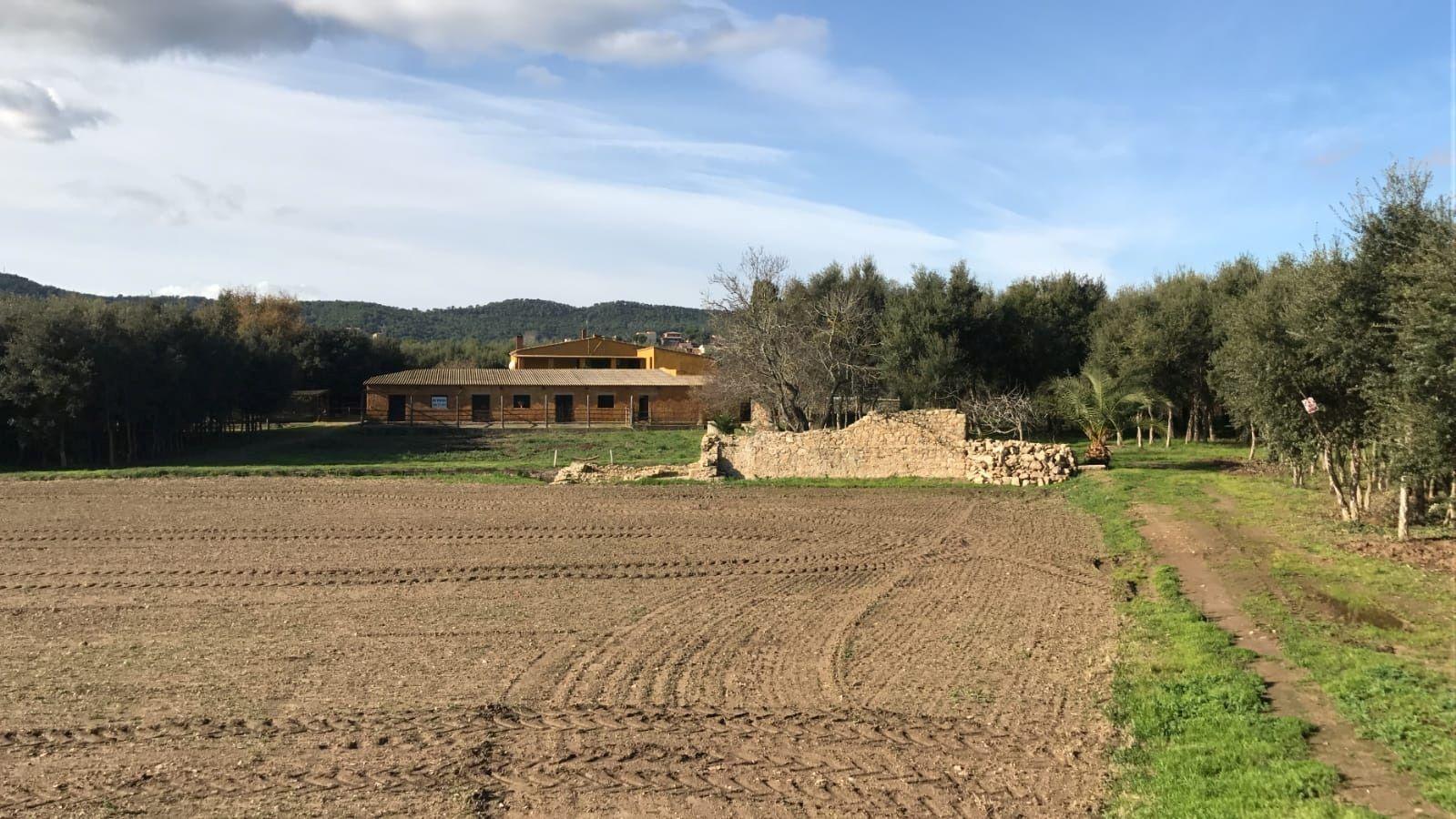 Einfamilienhaus zum Kauf 950.000 € 539 m²<br/>Wohnfläche 20.000 m²<br/>Grundstück Palafrugell 0