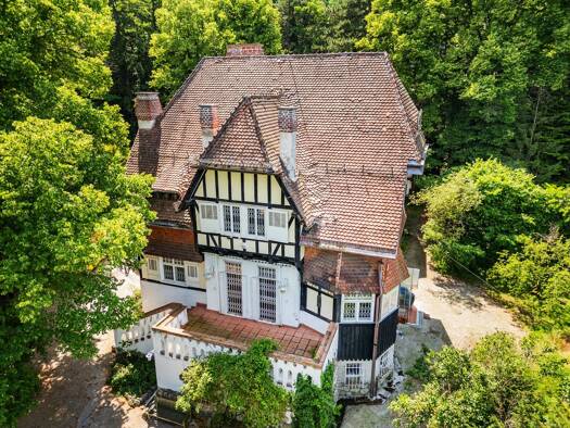 Villa zum Kauf 6.490.000 € 22 Zimmer 980 m² 11.517 m² Grundstück Mödling 2340