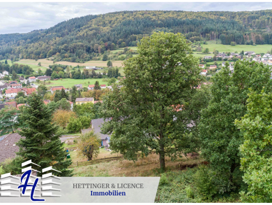 Grundstück zum Kauf provisionsfrei 57.000 € 959 m² Grundstück Rippberg Walldürn 74731