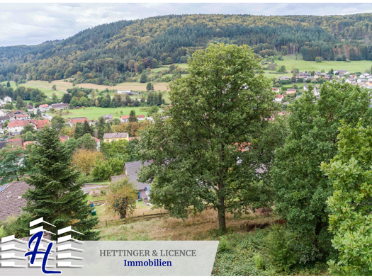 Grundstück zum Kauf provisionsfrei 57.000 € 959 m² Grundstück Rippberg Walldürn 74731