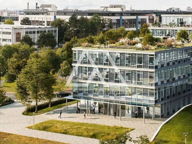 Büro zur Miete provisionsfrei 14,50 € 11.781,7 m² Bürofläche teilbar ab 655,4 m² Kronberg Kronberg 61476
