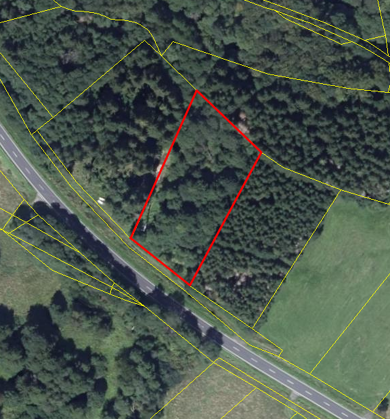 Grundstück zum Kauf 10.000 € 4.000 m² Grundstück Oberbach Wildflecken 97772